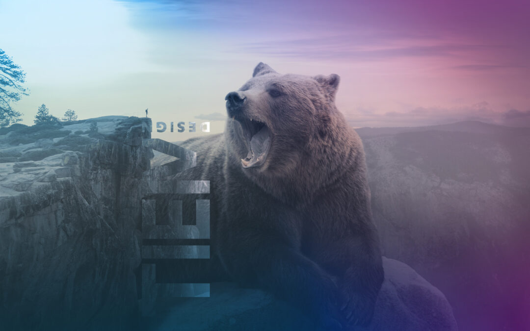 WordPress websites without spending a fortune