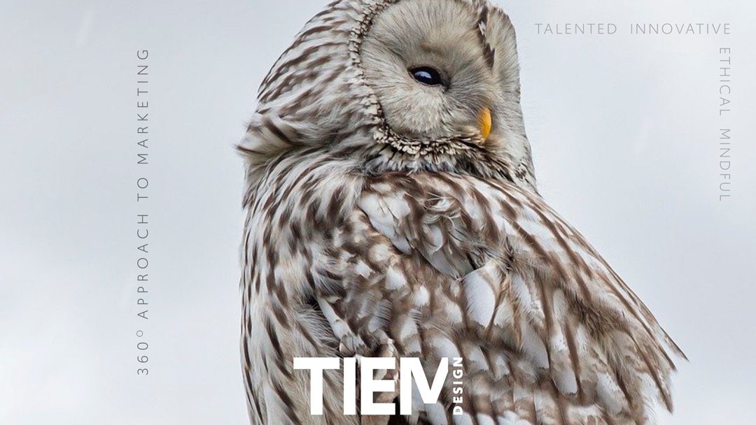 Marketing Agency working is a Collaborative Process